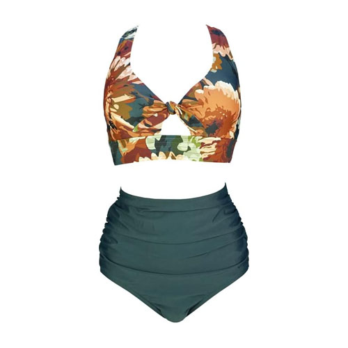 Women's Plus Size Swimwear-15162